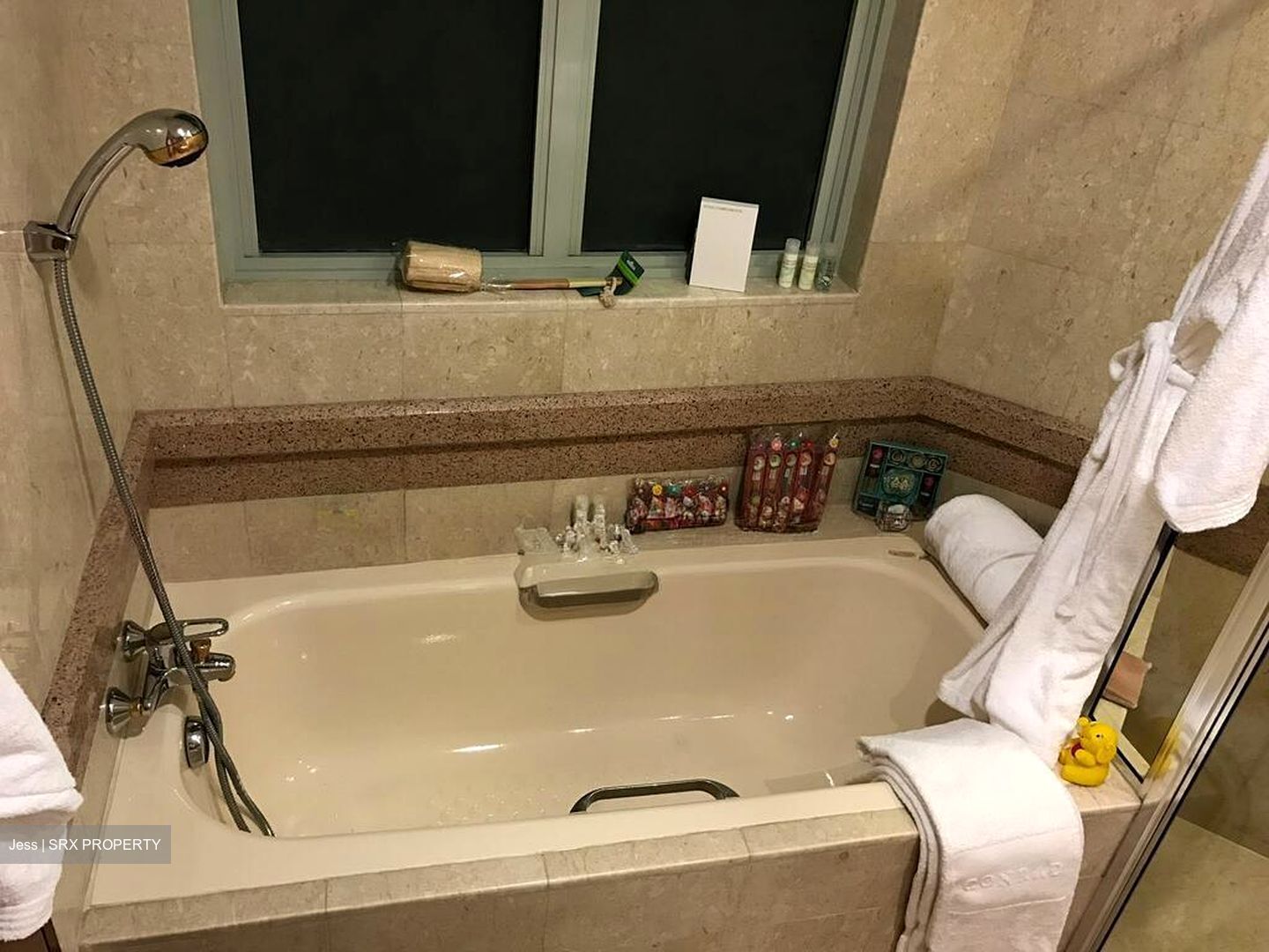 Sunshine Plaza (D7), Apartment #509168721